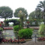 Lily Pond on Isola Madre on Lake Maggiore Lily Pond on Isola Madre on Lake Maggiore