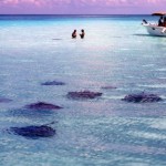 stingraycitygrandcayman.jpg