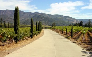 Castello di Amorosa Winery, Napa Valley, California