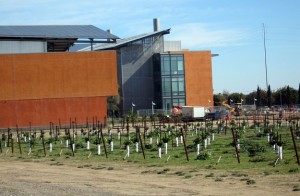 UC Davis viticulture program 300x196 Wine College at University of California, Davis