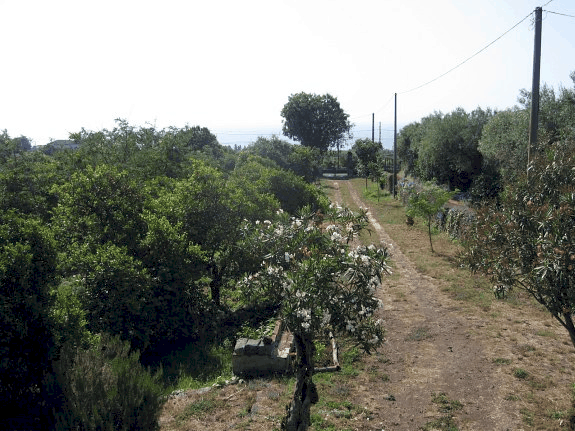 Sicily villa driveway Sicily villa driveway
