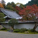 Japanese Garden fall