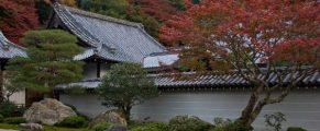 Japanese Garden fall