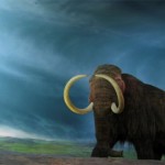 Woolly Mammoth