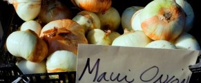 Huge Maui Onions