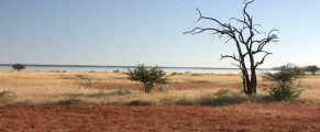 Etosha National Park in Namibia