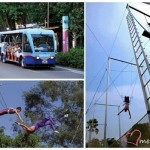 Flying Trapeze at Sentosa