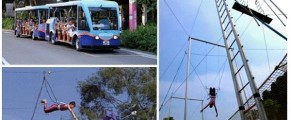 Flying Trapeze at Sentosa