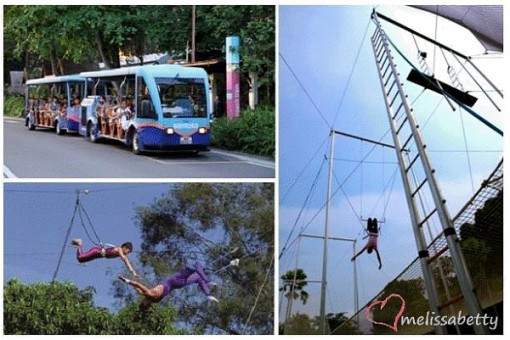 Flying Trapeze at Sentosa