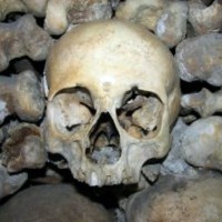 skeleton bones horror fright skeleton bones horror fright