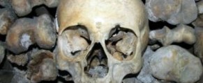 skeleton bones horror fright
