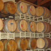 barrels of wine