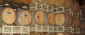 barrels of wine