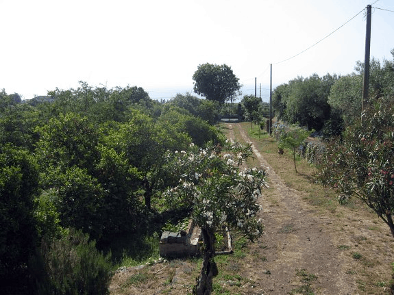 Sicily villa driveway