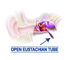 Eustachian tube_open