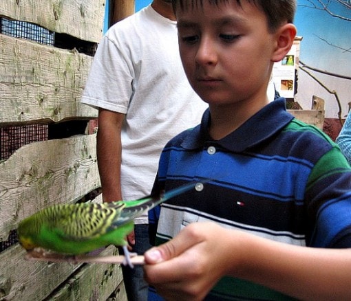 Feeding birds at Willawong Station, Woodland Park Zoo