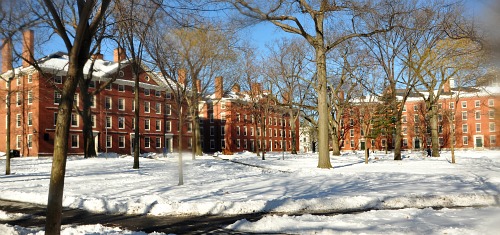 Harvard Yard