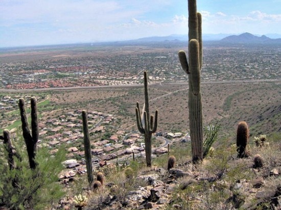 Phocus Wright in Scottsdale Arizona