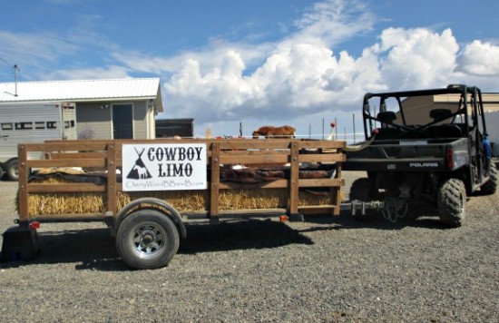 cowboy limo at cherrywood