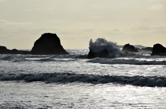 coastal Washington State