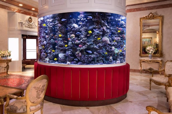 fishtank at The Kimberly NYC