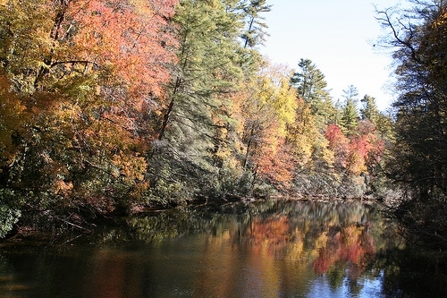 North Carolina fall photo