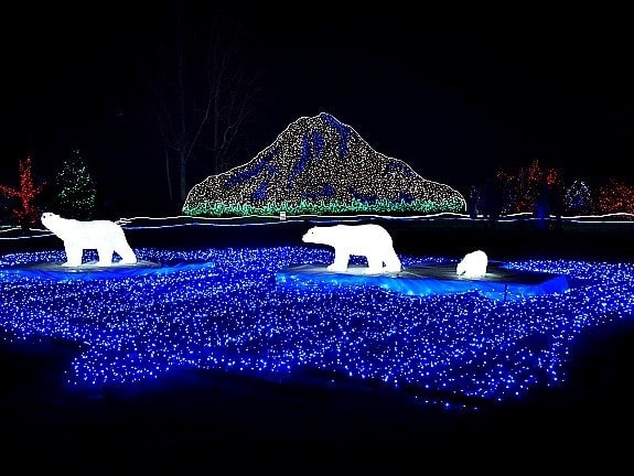 Mt Rainier & bears at Zoolights