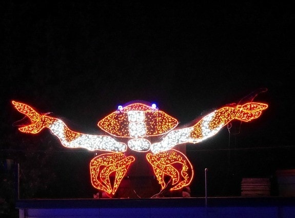 giant crab at zoolights