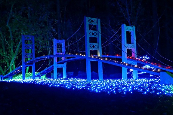 narrows bridge at zoolights