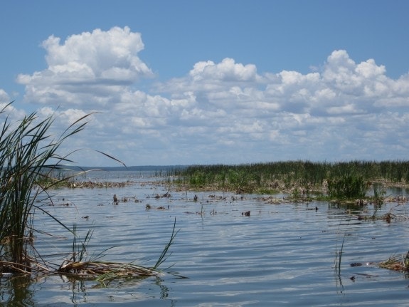 Everglades