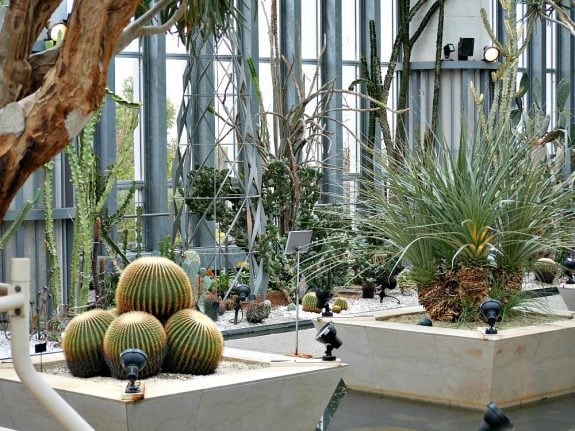 museum of plants