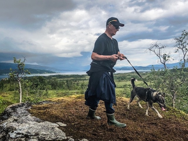 walking husky sled dog