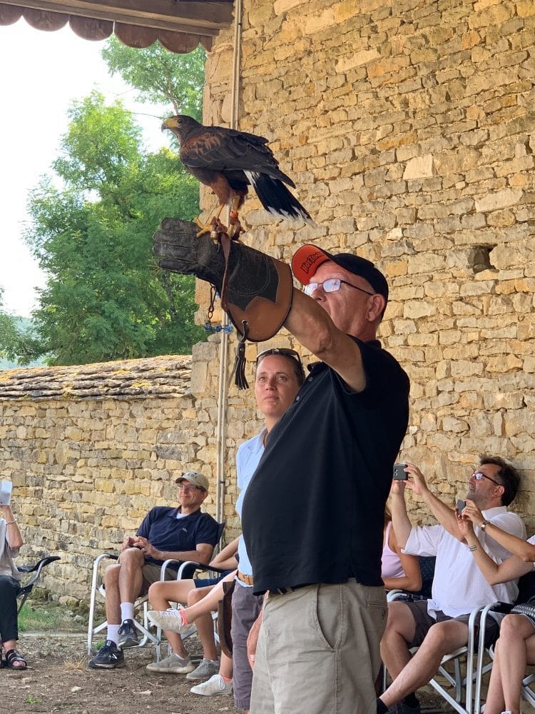 Falconry at Chateau de Commarin