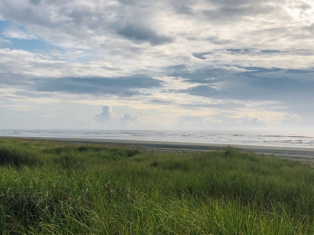 The dunes leading to the beach in Long Beach, Washington, invite you to explore. 