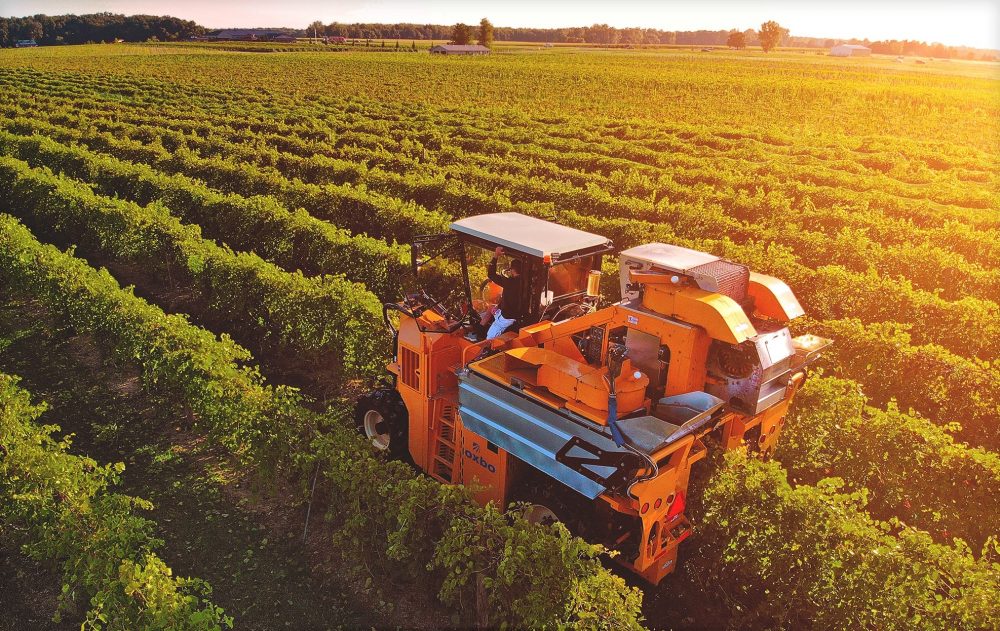 Tractor in the grape vines at Country Heritage Winery in Indiana.