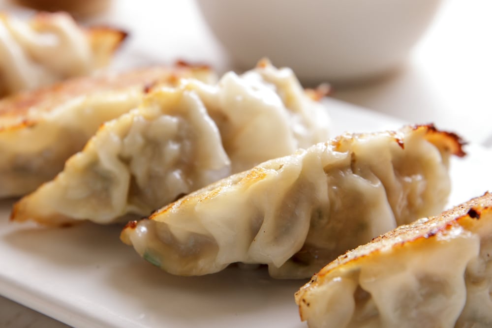 close up portrait of japanese food gyoza dumplings