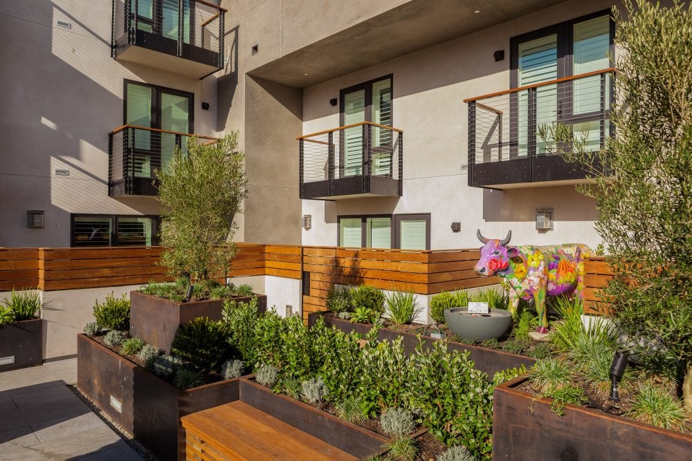 Edible Garden at Hotel Cerro is San Luis Obispo