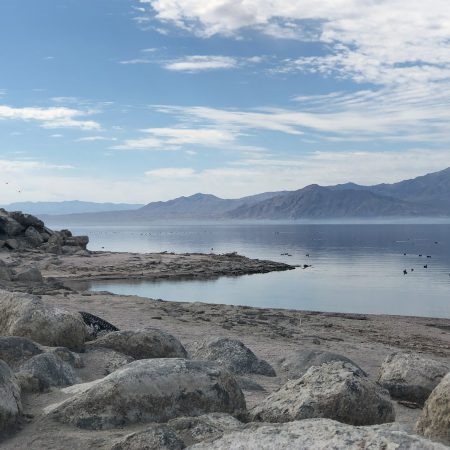 Visiting Salton Sea: Your Guide to This Must-See California Attraction