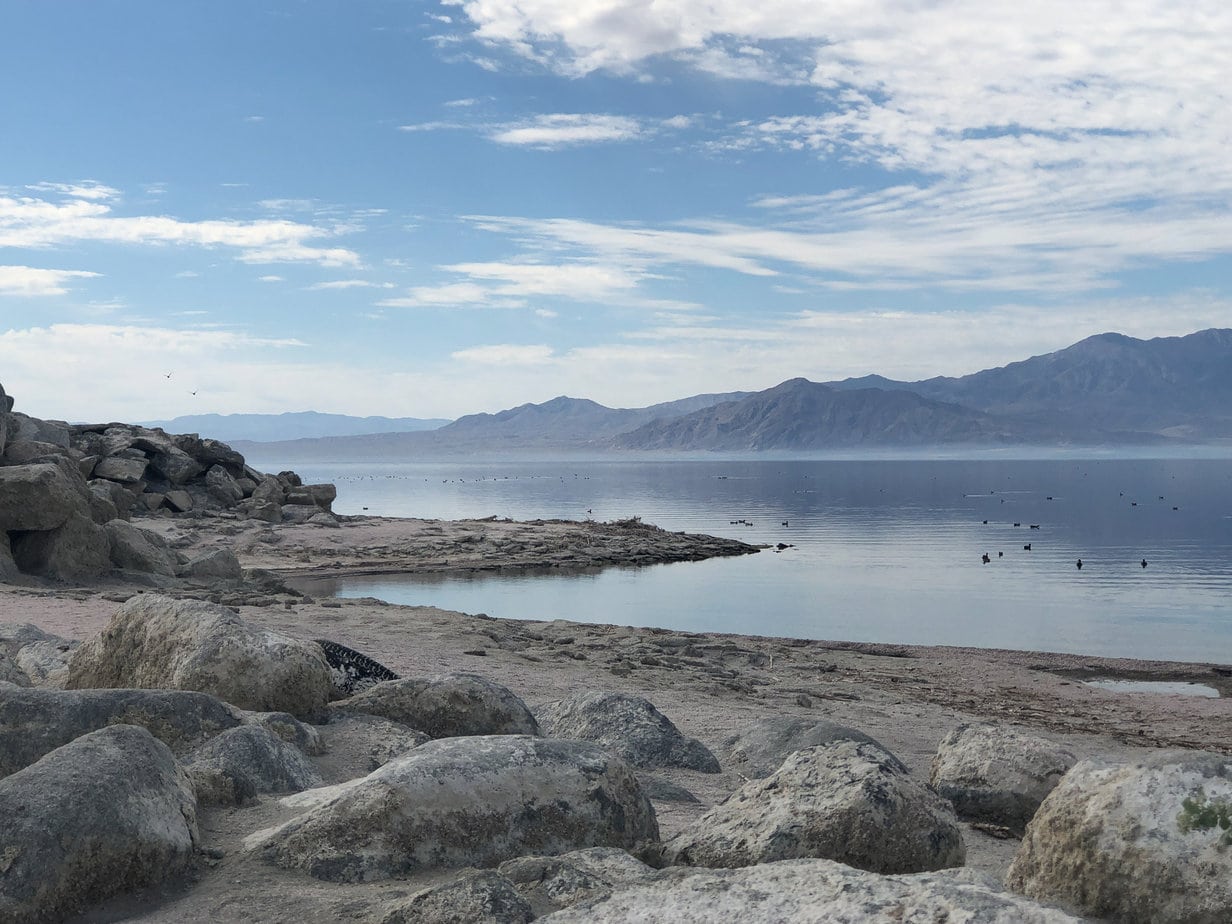 acwa salton sea tour