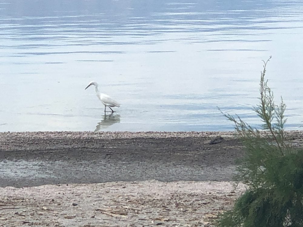 salton sea tourism history