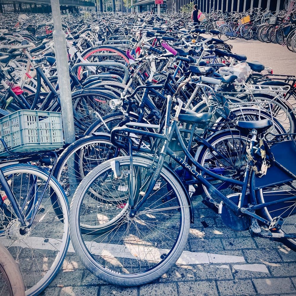 rows and rows of bikes in amsterdam
