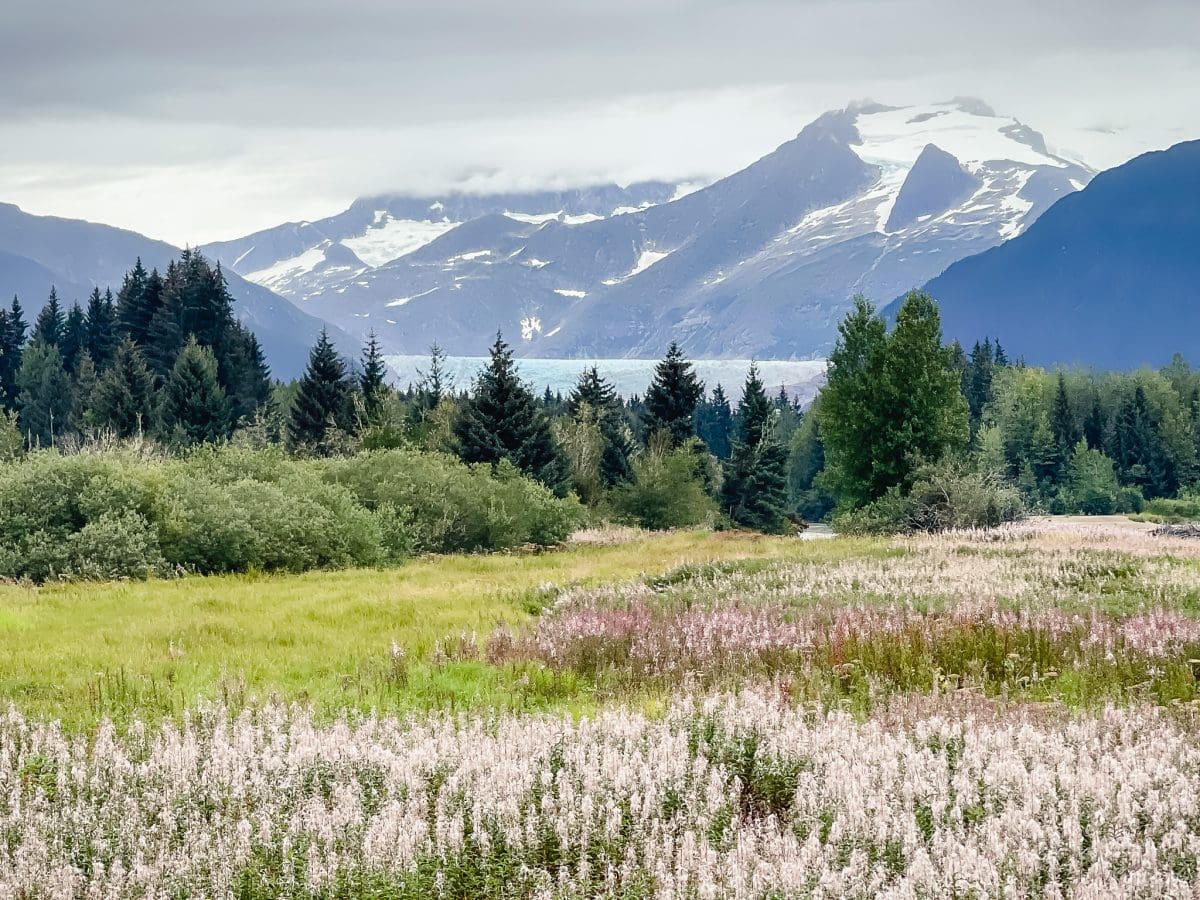 holland america alaska cruise westerdam