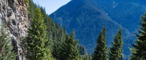 Road Tripping: The Most Scenic Drives in Washington State 11 Scenic mountain road surrounded by evergreen trees and towering peaks in nature.