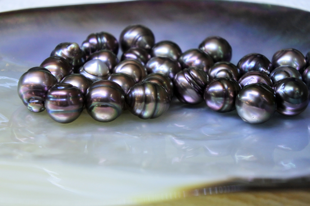 tahitian black pearls for a tahiti souvenirs