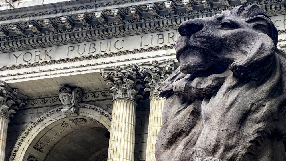 a headshot of the stone lion outside new york public library