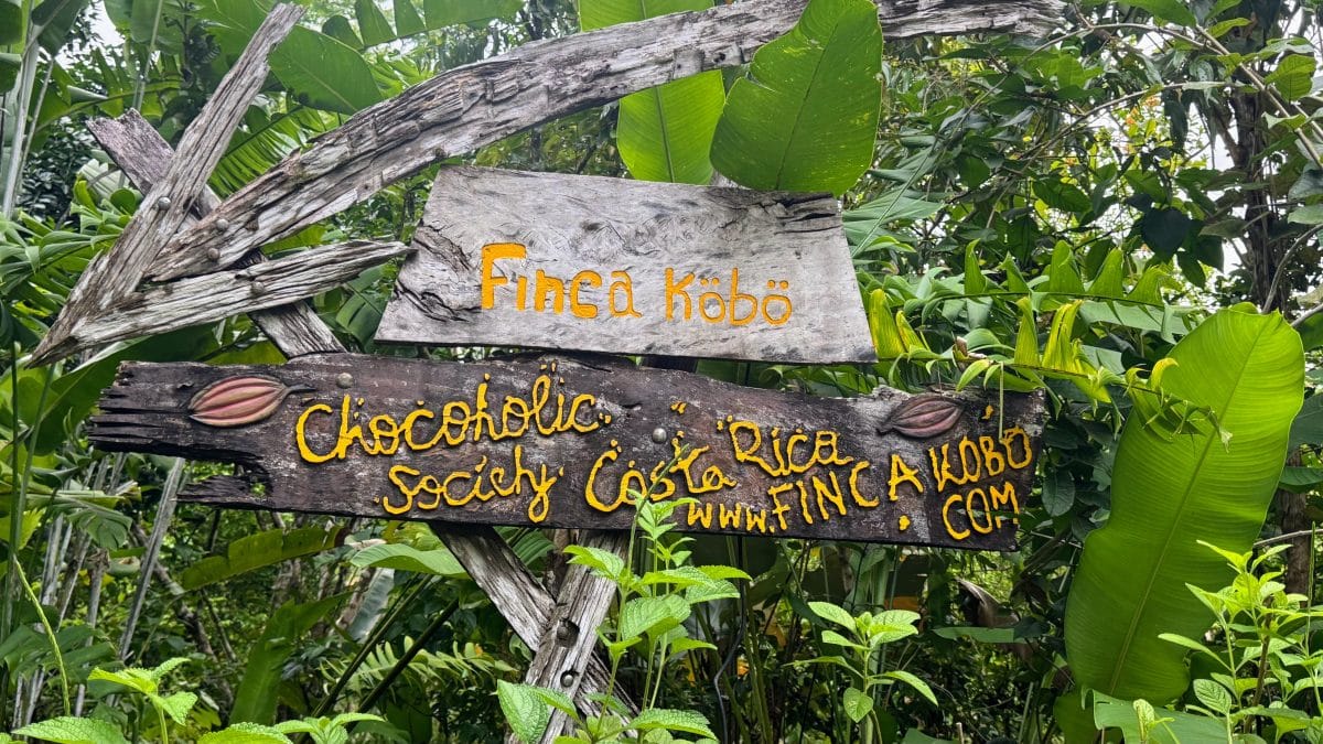 Adventure Cruising with Kontiki Expeditions in Costa Rica 53 Handmade Costa Rica Kóbo sign in lush jungle foliage for eco-tourism.